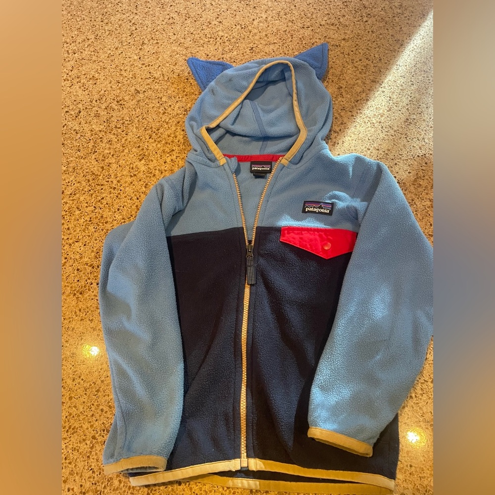 Patagonia Kids Two-Tone Fleece Hoodie